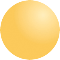 Image description is here